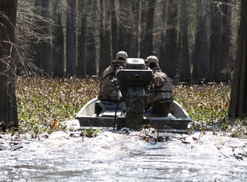 Gator-Tail_maintenance_and_videos_500 Gator-Tail_maintenance_and_videos_500